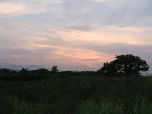 e0123808_23162570.jpg