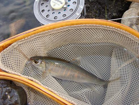 e0123808_2383115.jpg
