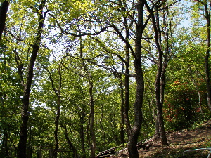 f0086008_23484038.jpg
