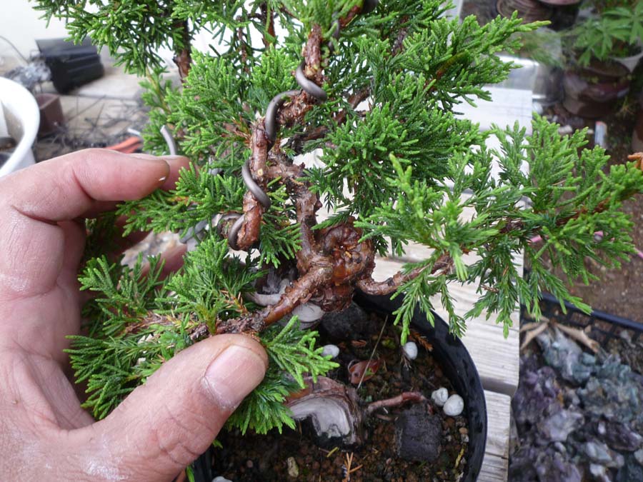 a0097110_2355531.jpg
