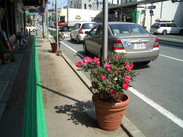 オープンガーデン富士宮2009_f0141310_22232442.jpg