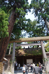 a0031714_181815.jpg