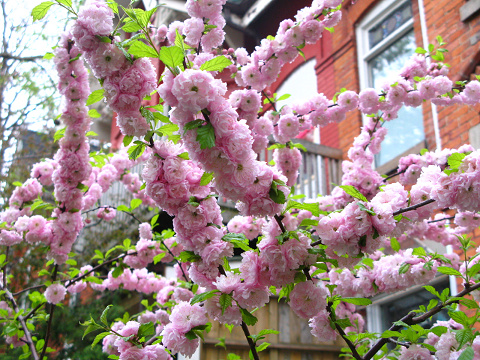 c0126120_1354145.jpg