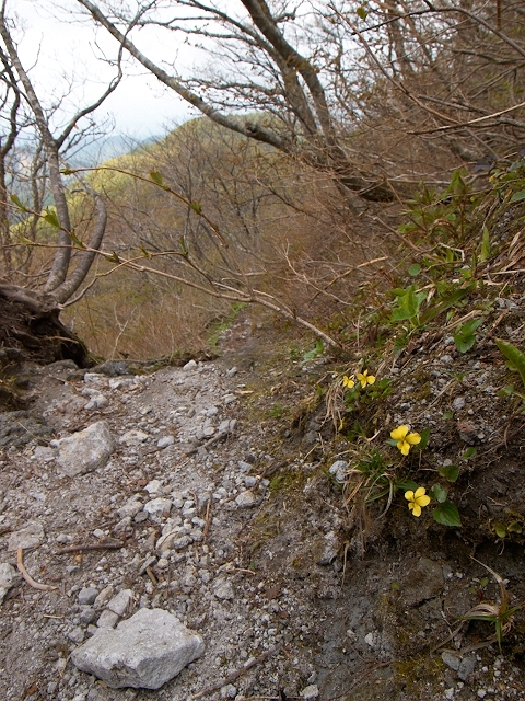 c0006928_22133774.jpg