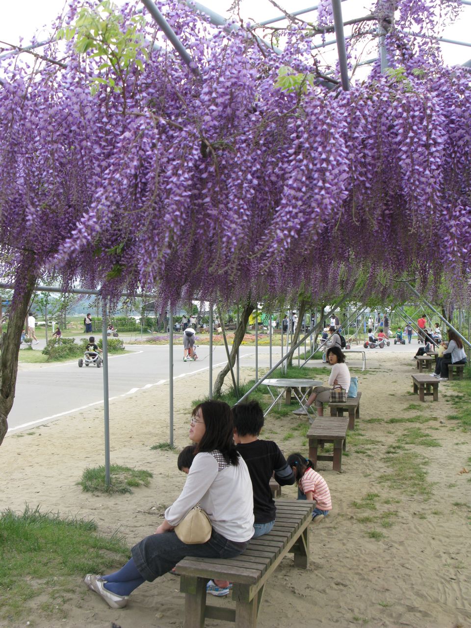 c0019131_17372428.jpg