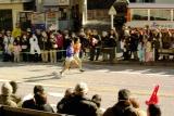 c0051032_20132255.jpg