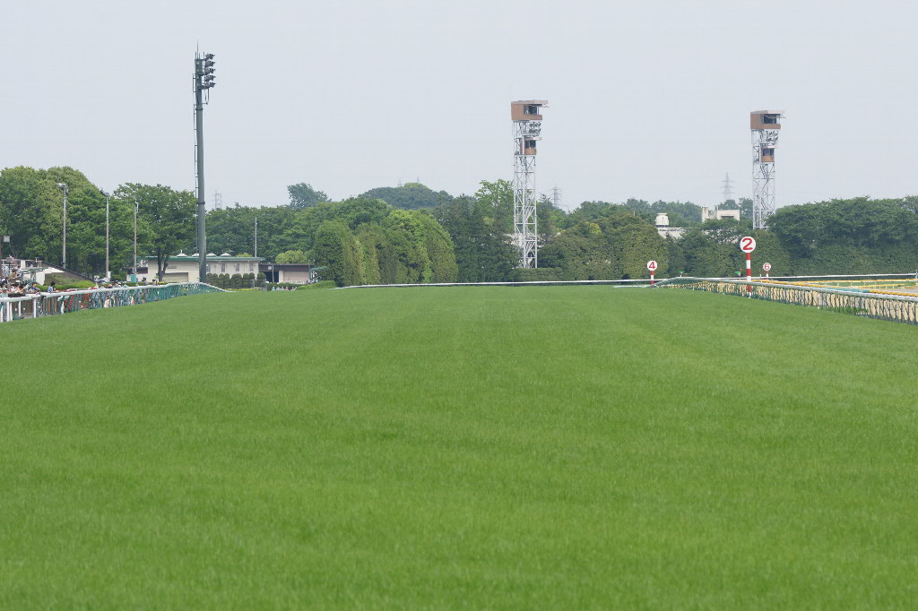 東京の直線は広くて長い_a0035333_21315713.jpg