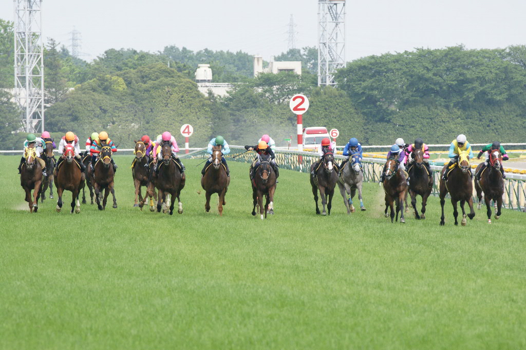 東京の直線は広くて長い_a0035333_21321665.jpg