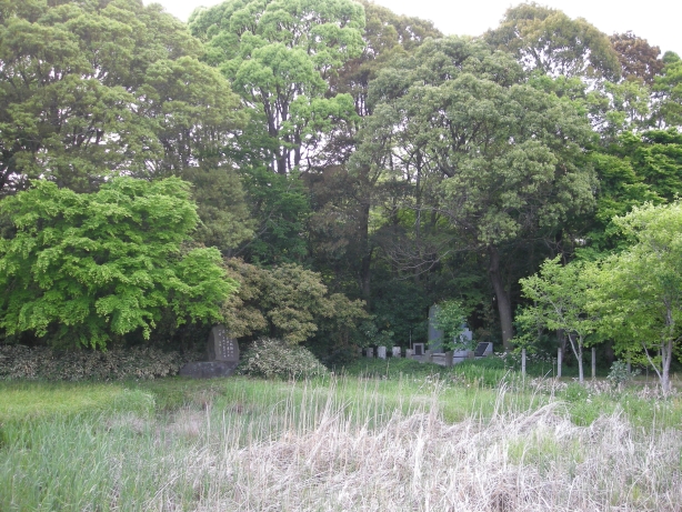 実家へ戻った時に撮った写真を適当に貼る_a0005234_16595825.jpg