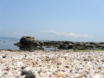 a0013236_1031846.jpg