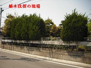 f0031037_9104811.jpg
