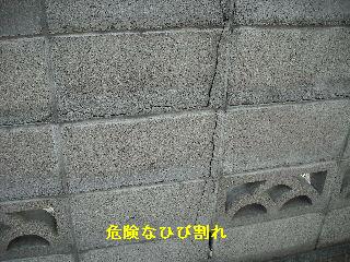 f0031037_9134464.jpg