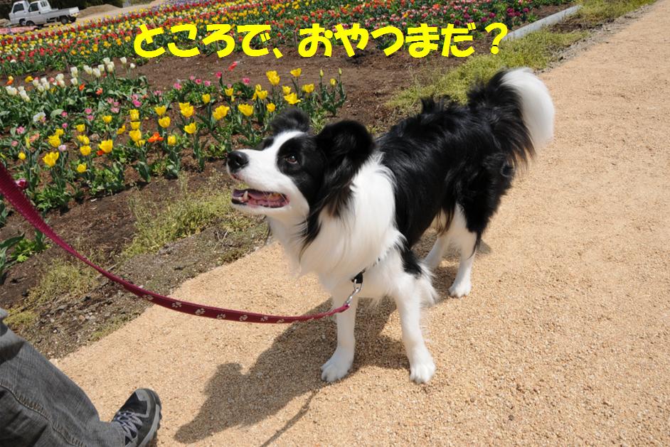 c0147241_2018236.jpg