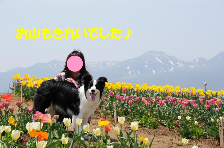 c0147241_20183461.jpg