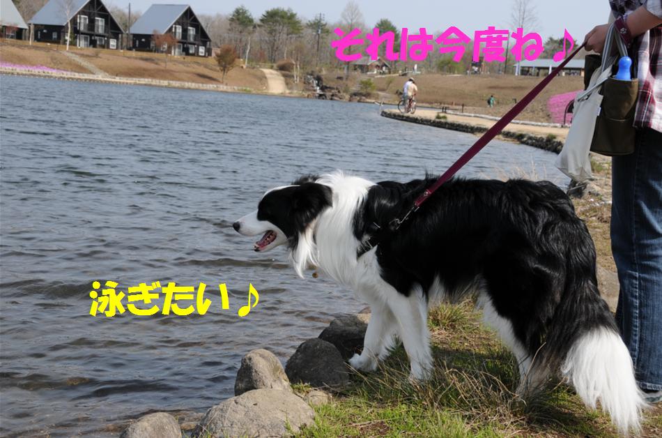c0147241_2019426.jpg