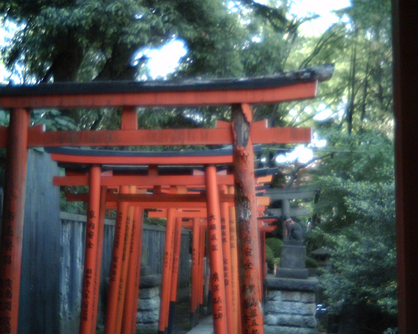 f0207541_19133548.jpg