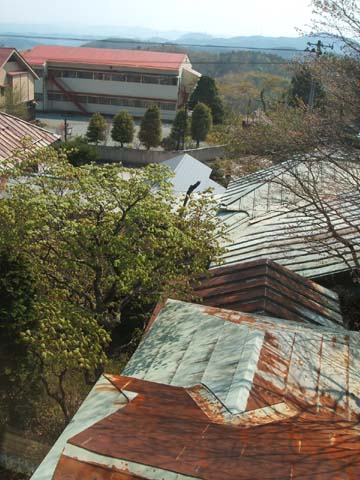 c0011342_23584516.jpg