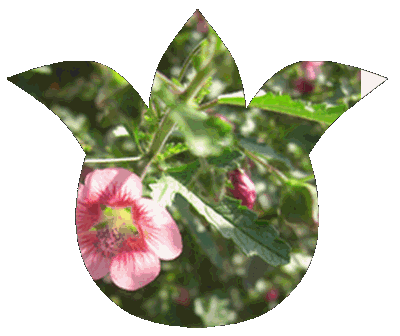 f0031546_19525519.gif
