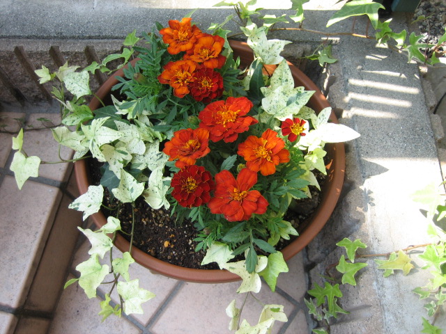 e0009547_043260.jpg