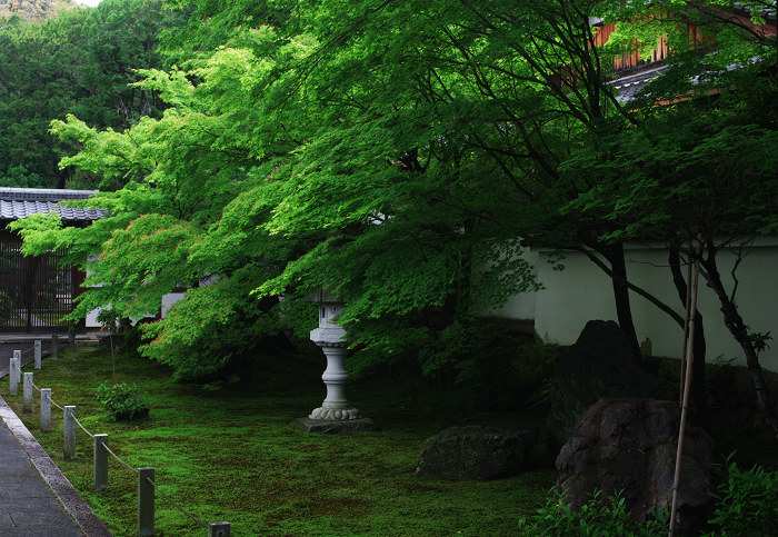 新緑の頃(東福寺界隈)_f0155048_23101340.jpg