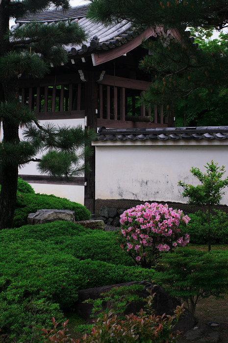 新緑の頃(東福寺界隈)_f0155048_23104580.jpg