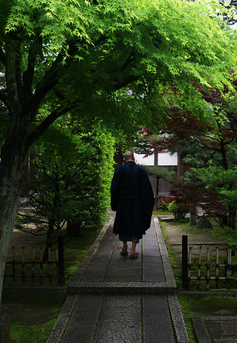 新緑の頃(東福寺界隈)_f0155048_2395916.jpg