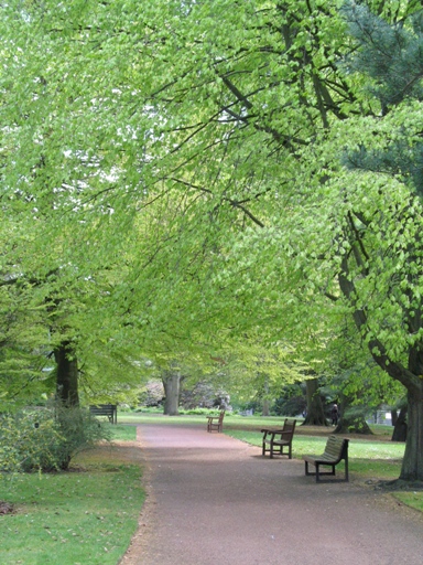 ROYAL BOTANIC GARDEN EDINBURGH_e0122451_196112.jpg