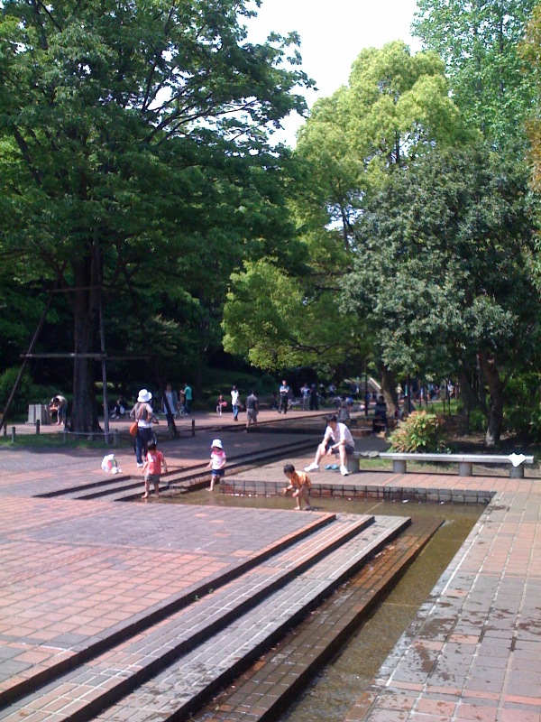夏のけはい_e0026053_17294886.jpg