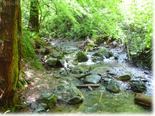 e0139056_0162632.jpg