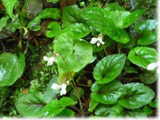 e0139056_0163988.jpg