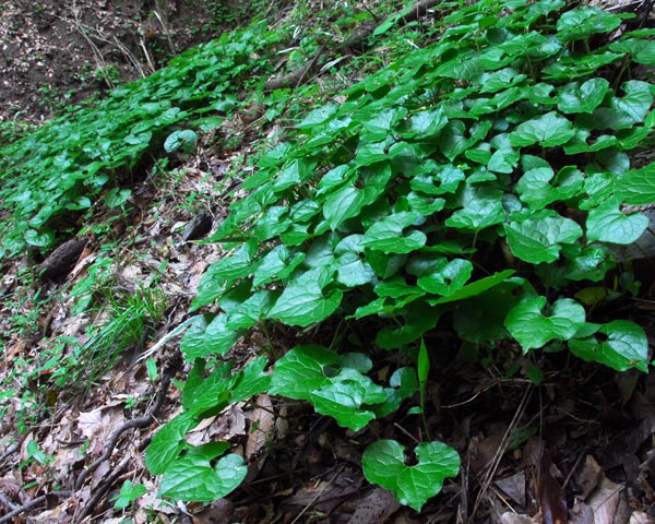 e0035757_16182114.jpg
