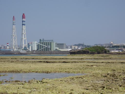 c0180460_5523210.jpg