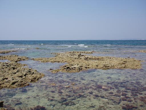 c0180460_5563714.jpg
