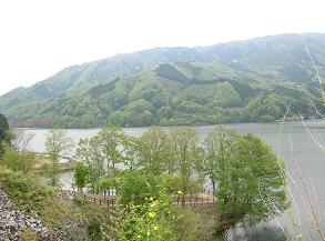 f0139963_11533481.jpg