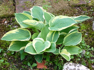 c0040472_17284241.jpg