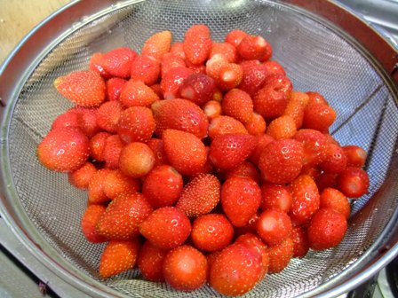 c0180773_2119297.jpg