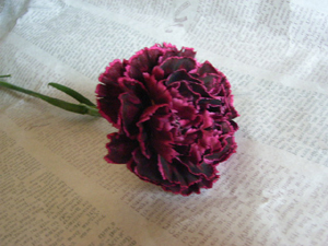 c0186973_14413312.jpg
