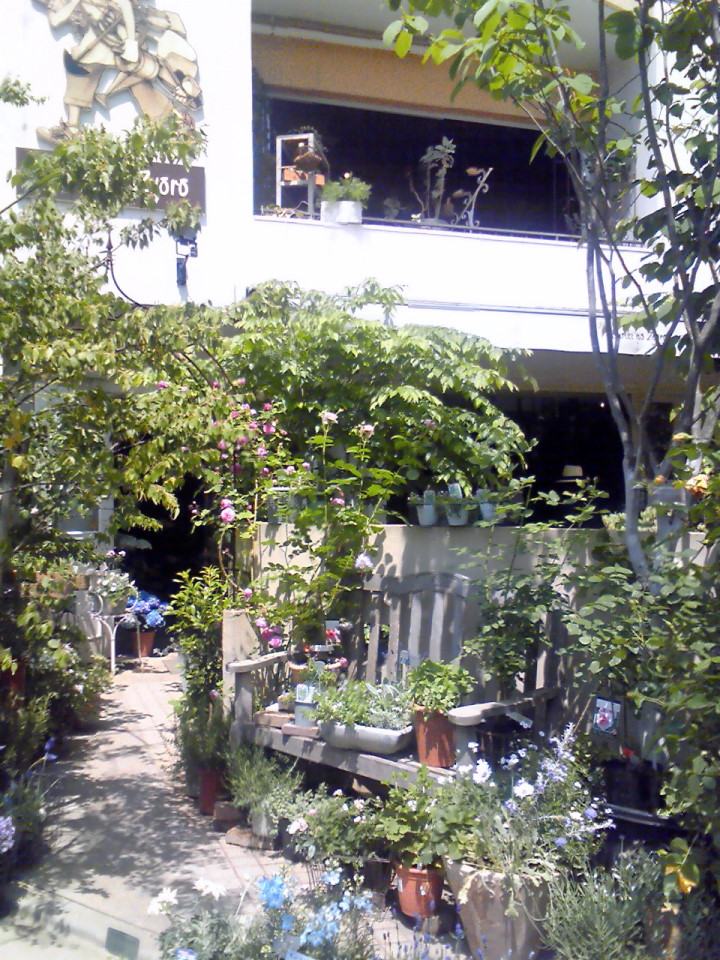a0113875_22421742.jpg