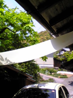 d0001177_11511760.jpg