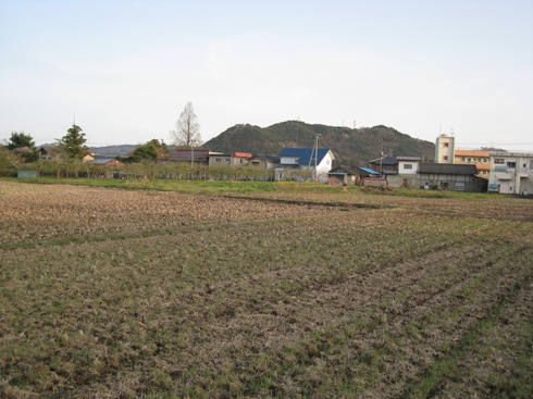a0087378_56547.jpg
