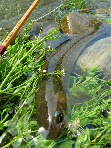 c0197578_21492830.jpg