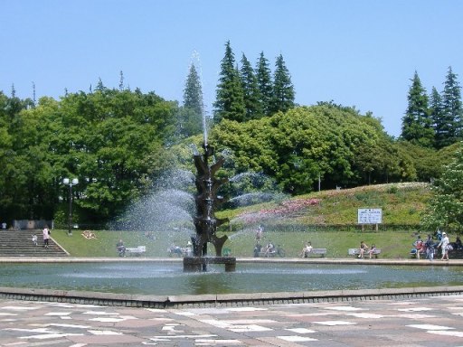 世田谷公園_f0207881_16152299.jpg