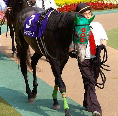 NHKマイルCは、ジョーカプチーノ＆藤岡康太が初GI制覇をレースレコードで飾る！_b0015386_22521126.jpg