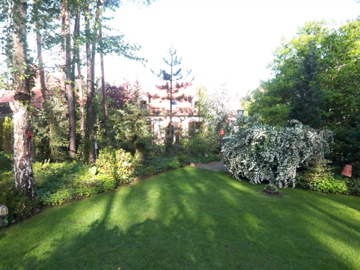 St.Petri @ Magdeburg_c0180686_15295416.jpg