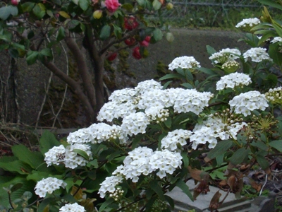 b0067795_14374676.jpg