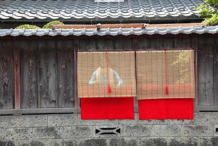 c0034595_180289.gif
