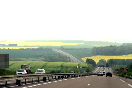 c0090198_4425345.jpg