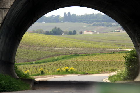 c0090198_4542428.jpg