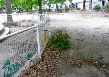 f0146198_21324835.jpg