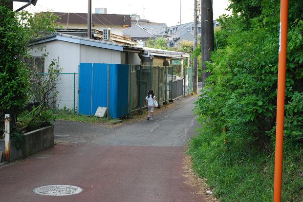 e0169200_1538244.jpg